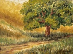 Assinatura não identificada - Paisagem - OST, assinado e datado 1980 CID, med. 27X35cm, com moldura em madeira med. 49X58cm 