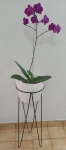Belíssimo Cachepò para plantas , estilo Anos 60, na cor branco ; acompanha um suporte em metal preto . Medida vaso : 26 x 26 x 20 cm / medida suporte : 70 cm altura / Medida total : 78 cm de altura .