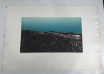 THEREZA MIRANDA - Gravura "TRIGAL PARANAENSE - LONDRINA - PARANÁ '' - Medidas 53 x77 cm.