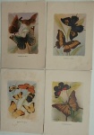 Gravuras de Borboletas - Coleção Artística Roche. Total 4 gravuras Med. 18cm x 26cm