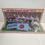 Poster São Paulo Bi Campeão Mundial 1993. Qualquer duvida entrar em contato pelo whatsaap: 11948723970 ou pelo nosso email: loucoporantiguidades@gmail.com. OBS: A sua participação em nosso leilão ajuda em causas animais.