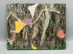 ARTE BRASILEIRA  THOMAZ IANELLI. Importante livro-monografia dedicado à obra do consagrado pintor, desenhista e aquarelista paulista Thomaz Ianelli. A publicação realiza uma retrospectiva de sua refinada produção artística, com destaque para suas composições expressionistas abstratas e líricas de cores marcantes (como as telas Maranhão de 1983 e O Muro de 1984). Ricamente ilustrado com reproduções coloridas de alta qualidade em papel couché. Encadernação em capa dura com sobrecapa original ilustrada; apresenta pequenos desgastes e um discreto rasgo na borda superior esquerda da sobrecapa