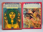 Dois exemplares da coleção "Mitos, Deuses e Mistérios", da editora Edições del Prado. O primeiro volume, intitulado "Magia", é de autoria de Francis King, enquanto o segundo volume, "O Culto ao Gato", é de autoria de Nicholas J. Saunders. Ambos os livros apresentam capa dura, ilustrações ricas em detalhes iconográficos e abordam temas esotéricos e mitológicos sob uma perspectiva histórica e cultural, encontrando-se em bom estado de conservação.