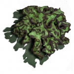 FRANZ KRAJCBERG - Flor verde. Escultura de parede executada em madeira nobre e raiz calcinadas e pin