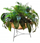 Vaso em concreto - acompanha planta e suporte de chão em metal - 84x84 cm medidas gerais - e 22x60 cm - com desgastes do uso e do tempo.