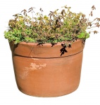 Vaso em cerâmica - 28x40 cm - com desgastes do tempo e do uso. NÃO ACOMPANHA PLANTA