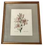 Decorativo - reprodução impressa 34x27 cm - emoldurado moldura em madeira pintada, paspatur e vidro 55x46 cm - com pontos amarelados pela ação do tempo.