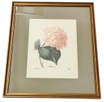 Decorativo - reprodução impressa 34x26 cm - emoldurado moldura em madeira pintada, paspatur e vidro 55x46 cm - com pontos amarelados pela ação do tempo.