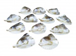 DIVERSOS, doze (12) recipientes para siri com suas respectivas colheres confeccionadas em concha marítima, algumas com discretos bicados, medindo 11x8cm.