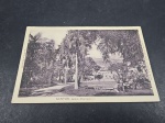 Brasil, postal déc 00/10, "Santos - Jardim Municipal". Qualidade extra europeia. Inédito!