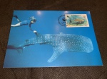 Kiribati, máximo postal, 1991, com selo e CPD, "Túbarão Baleia" (Cod. 5EA)