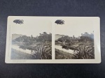 Brasi, fotografia original estereoscópicas, déc. 00/10, "Rio de Janeiro - Jardim Botânico - Lago". Excelente estado! (Cod 12EA).