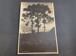 Brasil, fotografia original déc 20/30, Petrópolis, fotógrafo DK Rio (s/ass). Belo registro! Med. 15 x 22 cm