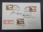 Alemanha III Reich, NAZISMO, carta circulada em 1944, período da 2ª Guerra Mundial, registrada, com CBC. Item de luxo! OBS: O item não Promove ou glorifica a violência da intolerância racial ou religiosa. Está à venda apenas para fins de preservação da memória histórica. A Casa de Leilões não faz apologia a quaisquer movimentos políticos ou ideológicos, bem como repudia qualquer ideologia de cunho racista.