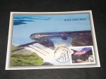 Brasil, máximo postal, padrão real, 2006, com selo e CBC, "ITAIPÚ BINACIONAL"