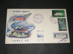 Israel, envelope 1º voo, circulado/registrado, voo entre LOD-ROMA, pelo avião "COMET 43", com CBC. No verso diversos carimbos de trânsito e recepção. Peça impecável! Item de exposição. Data 19/05/1960