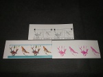 Montserrat, lote de provas de cor, tema Aves. Raro item, Para exposição! Colônia Inglesa