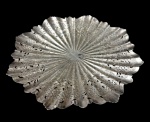 Antiga salva em metal espessurado a prata, de formato circular com contorno recortado, ricamente cinzelada com volutas, elementos geométricos e motivos vegetalistas de inspiração Rococó, centro em relevo radial. Medidas: 20,5 cm.