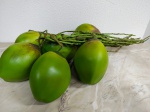 Cachos de coco verdes decorativo, um dos cocos apresenta quebra com reparo. Com 6 unid- (VE144)