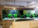 Magnifico Aquário divisor de ambiente com acabamento todo em Alumínio 304 - Acompanha todo o sistema de filtragem  , adereços de enfeite , sistema de iluminação , plantas e peixes . São 3 pangasus de 30 cm , 2 cascudos de 25 cm , 4 botias de 15 cm e diversos outros 15 peixes grandes . Medidas : 300 x 60 x 80 cm . ATENÇÃO , O CUSTO DE DESMONTAGEM E RETIRADA SERÁ POR CONTA DO COMPRADOR COM EMPRESA ESPECIALIZADA ,  ENCONTRA-SE EM BELO HORIZONTE .