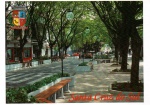 Cartão Postal Santa Cruz do Sul, SC - Vista do calçadão w `tunel verde`, Editora Kingcolor ref. 1706, sem uso