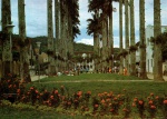 Cartão Postal Joinville, SC - (Nova Rua das Palmeiras) - ao fundo Museu de Imigração Nacional, Editora Edicard ref. 822-34, sem uso