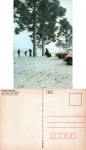 Cartão Postal São Joaquim, SC - A neve se torna uma atração turistica, Editora Mercator ref. 05, sem uso