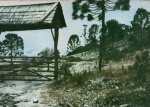 Cartão Postal São Francisco de Paula, RS -  No inverno a neve sempre chega nos campos de cima da serra e nas fazendas gaúchas, Editora Kingcolor E-2908, sem uso