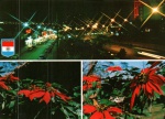 Cartão Postal Ciudad Pre. Stroessner, Paraguay - Ciudad Jardin. Editora Postal Cultural, usado