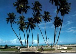 Cartão Postal Maceió, AL - Praia dos Sete Coqueiros, Editora Mercator ref. 5, usado, circulado  08/01/1988