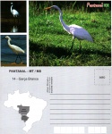 Cartão Postal Pantanal Matogrossense, MT - Garça Branca, ref. 14, sem uso