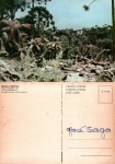 Cartão Postal São Joaquim, SC - Nevada (altitude de 1430 mts), Editora Mercator ref. E-1109, usado