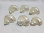 6 Conchas identificadas como caracóis-do-mar polidos e nacarados. Detalhes conforme fotos, _(ºLº)_ Caso necessite, tire todas suas dúvidas via atendimento personalizado por WhatsApp: (11) 98681-9377. Não deixe para última hora! Antecipadamente agradecemos pelo seu lance. Sem testes ou garantias futuras de originalidade, funcionalidade, material ou procedência.