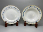 TERMO-REY - Charmoso par de pratos (sendo um raso e um fundo) fabricados em vidro opalinado, com abas decoradas por delicados galhos marrons e flores estilizadas em tons de azul com detalhes quadriculados, finalizados com um filete dourado na borda. O verso de cada peça apresenta a marca de fabricação em relevo da Termo-Rey com a inscrição "MADE IN BRAZIL" e o logotipo com monograma. Dia. 22,5 cm. Marcas do tempo e de uso.