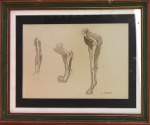 J. TURIN- estudo anatômico, técnica mista medindo 30 x 21 cm e 44 x 36 cm.