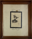 Heitor Malaguti (Ettore Malaguti) (18711925). Dama de chapéu. Nanquim. 28 x 22 cm. 1903. Medida total com a moldura: 33 x 27 cm
