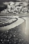 Sebastião Salgado (1944-2025). Ilhas Anavilhanas. Fotografia. 29,7 x 19,8cm. 2009. Acompanha certificado de autenticidade.