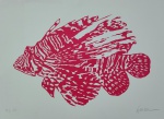 Kleber Ventura, Peixe Rosa, gravura, tiragem PI 1/2, 35x50cm, sem moldura