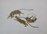 Fang, Horóscopo Chinês - Ratos, gravura, tiragem 4/50, 35x50cm, sem moldura, necessita de limpe