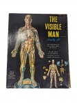 Renwal | `The Visible Man Assembly Kit`, kit de montagem anatômica da marca Renwal, Mineola N.Y. — peça clássica e educativa para colecionadores. Marcas do tempo. -dim- 33x41x8cm.