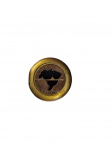 Broche comemorativo em homenagem ao navio `Riachuelo`, da Marinha do Brasil, folheado a ouro, com silhueta do mapa do Brasil e navio ao centro sobre fundo raiado. Marcas do tempo. -dim- 4cm D.