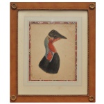 Representação de Casuarius Loriae. Ilustração de cabeça e do pescoço de uma ave exótica com plumagem colorida. Gravura Aquarelada. Obra ilustrada e litografada por John Gerrard Keulemans e impressa pela Mintern Brothers. Ass. 30 x 23 cm (MI). 52 x 44 cm (ME). Emoldurada em madeira com detalhes ornamentais entalhados nos quatro cantos