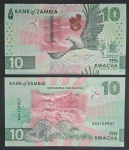 NOVIDADE - ZAMBIA - FAUNA - 10 KWACHA - FE