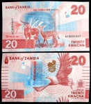 NOVIDADE - ZAMBIA - FAUNA - 20 KWACHA - FE