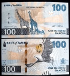 NOVIDADE - ZAMBIA - FAUNA - 100 KWACHA - FE