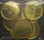 ARGENTINA - 10 MOEDAS  DE 2 PESOS - FC
