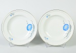 ROSENTHAL - Par de pratos para sopa em porcelana alemã esmaltada e vitrificada da linha WINIFRED, na cor branca, com decoração floral e fio dourado nas boras. Diâmetro: 24cm.