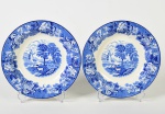 WOODS WARE - Par de pratos para sopa em faiança inglesa esmaltada e vitrificada, com decoração fazendinha. Diâmetro: 23cm.