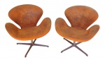 CLÁSSICA DESIGN - POLTRONAS SWAN (SWAN CHAIRS) - Par de poltronas giratórias no estilo Swan (cisne), de formato orgânico com estofamento em couro sintético de efeito envelhecido na cor marrom-alaranjado, e apoiadas sobre base metálica com quatro pés. Um dos maiores ícones do design mobiliário moderno, a poltrona Swan foi criada em 1958 pelo renomado arquiteto e designer dinamarquês Arne Jacobsen. Possuem selo do fabricante nacional de móveis de alto padrão Clássica Design, e selo de Original Design que atesta que a fabricação seguiu rigorosamente as proporções, a ergonomia e o desenho do projeto original de Arne Jacobsen. Medidas: 78 x 76 x 70 cm. Envio somente por transportadora. Retirada na Rua Citiso.