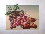 Wilma Sedys , Cajus, Gravura 4 de 50 , 35x46,5 cm,  manchinhas nas  bordas do papel, sem moldura